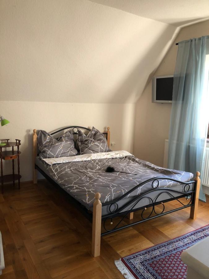 Ferienhausmit Pool zum Träumen und Entspannen für alle Sinne Bad Schmiedeberg Exterior foto